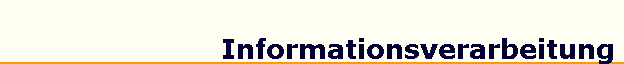 Informationsverarbeitung